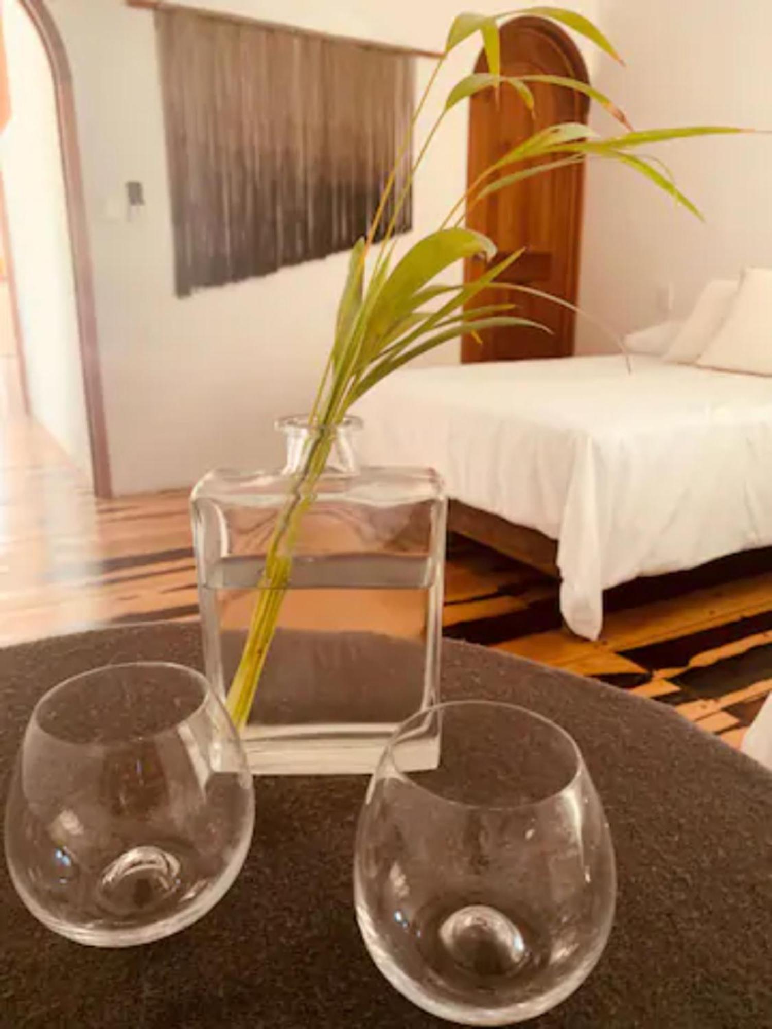 Apartments & Suites Madre Holbox Self-Check In Εξωτερικό φωτογραφία